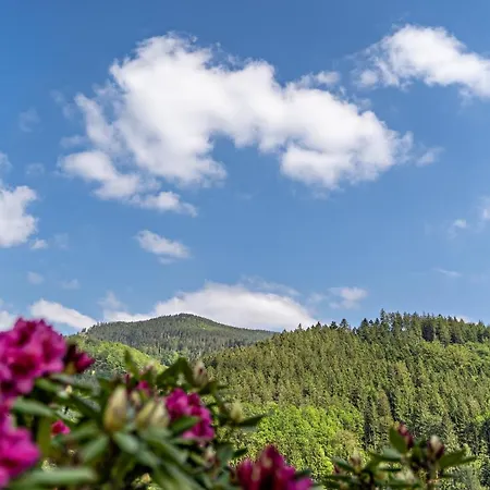 Streck * Bad Peterstal-Griesbach