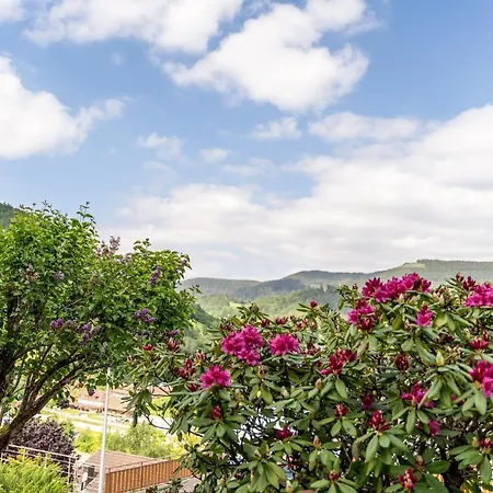 Streck Appartement *